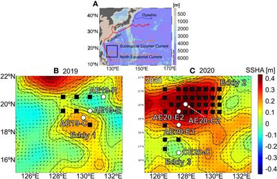 Export of particulate organic carbon (POC) in the eddy region of the tropical northwest Pacific